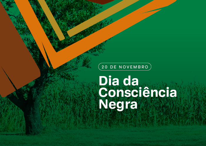 20 de Novembro: Dia da Consciência Negra
